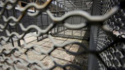 Los ahora imputados son José Antonio y Luis Antonio Medina.