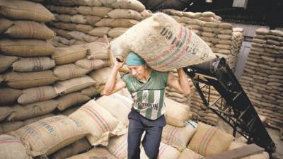 Un trabajador carga un costal de café en Colombia, una tradición que podría ambiar.