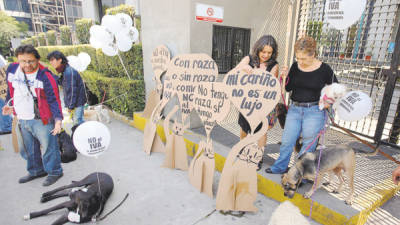 Dueños de mascotas mexicanos protestan contra el nuevo IVA que va a ser aplicado a los alimentos para sus animales