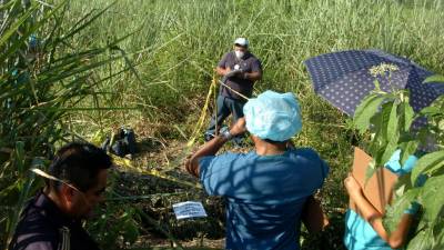 En una plantación en Armenia Bonito fueron encontrados los dos cuerpos.