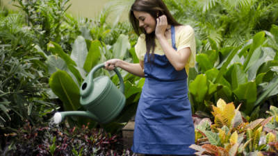 Tener plantas en su jardín le ayudará a mejorar su estado de ánimo.