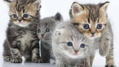 Foto cortesía de Batanga.com.