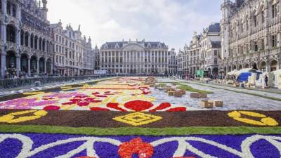 Voluntarios colocan hoy begonias para formar una alfombra de flores gigante en el Palacio Real de Bruselas, Bélgica. Este año el tema de celebración de la Alfombra Floral son los 150 años de relación belga-japonesa. La Alfombre Floral permanecerá abierta al público del 13 al 15 de agosto. EFE