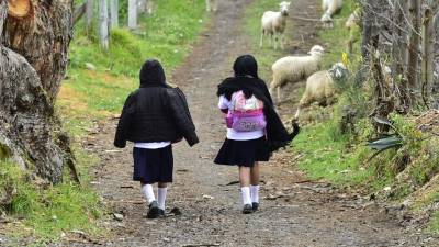 Cientos de niños ecuatorianos permanecen desaparecidos tras haber emprendido el viaje hacia EUA.