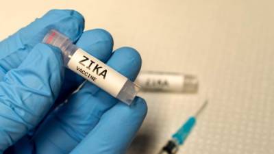 Los anticuerpos identificados por los investigadores chinos, conocidos como Z23 y Z3L1, parecen enfocarse específicamente en las cepas del virus del Zika.