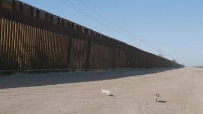 De las 93 especies afectadas, el informe identifica 57 que se encuentran en peligro, 24 que están amenazadas, 10 que son candidatas para protección y 2 más que preocupan a los protectores del medioambiente, las águilas doras y calvas. EFE/Archivo