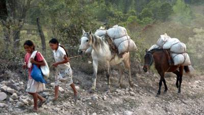 Las familias del interior son las que más necesidades tienen.