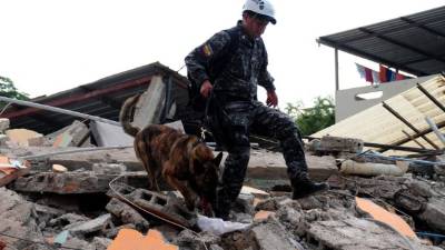Equipos de socorro de Colombia, México, El Salvador y Perú ya se encuentran en Quito para ayudar en las tareas de rescate.