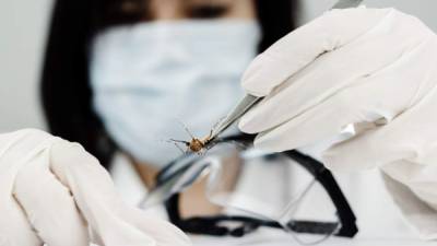 Los estudios del Virus del Zika sigue descubriendo que otros problemas puede causar al feta infectado.