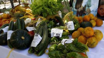 Exigen repensar y planificar mejor la producción alimentaria, y por tanto cambiar los modelos de consumo global.