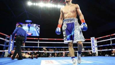 De las 12 peleas ganadas, 10 han sido por nocaut por parte de Teófimo. Foto @trboxing .