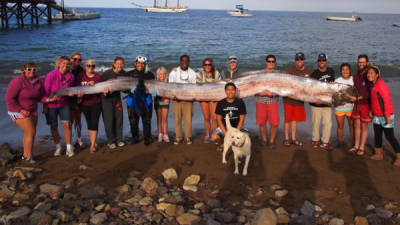 La instructora hispana de ciencias marinas, Jasmine Santana, quien descubrió un extraño pez remo gigante de 18 pies de largo mientras buceaba el domingo pasado.