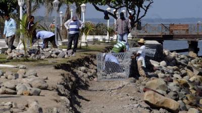 La construcción de los gaviones inició hace dos semanas. Fotos: Samuel Zelaya