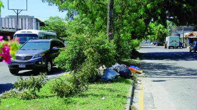 Al recorrer la avenida Júnior se observa el descuido de las medianas, igualmente en la Circunvalación, bulevar Los Próceres, segundo anillo, Jardines del Valle y otros sectores, tal como lo muestran las gráficas captadas por LA PRENSA.