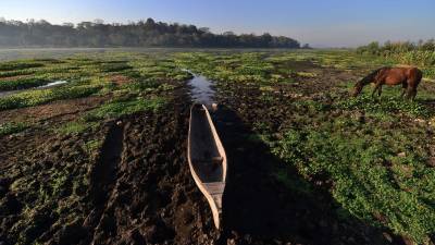 Foto de la sequía en la zona norte de Honduras.