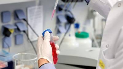 El proyecto de la universidad de Oxford es financiado por el gobierno del Reino Unido. EFE