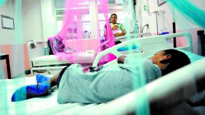 Tres muertes por dengue se han registrado en 2024.