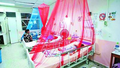 <b>Según expertos, Salud debe declarar emergencia por esta enfermedad.</b>