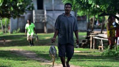 Un pescador misquito en su camino a cas en Prumnitara, Puerto Lempira, departamento de Gracias a Dios. Fotos: AFP
