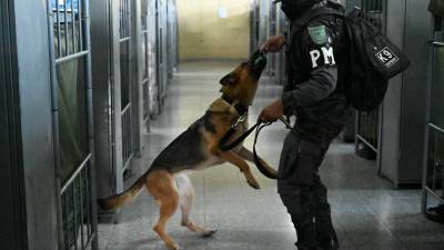 El PCM aprobado en casa presidencial faculta a la PMOP a suspender personal actual.
