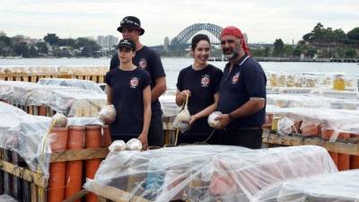 Rodeados de sus fuegos artificiales, los Foti se preparan para hacerle los honores al 2017.