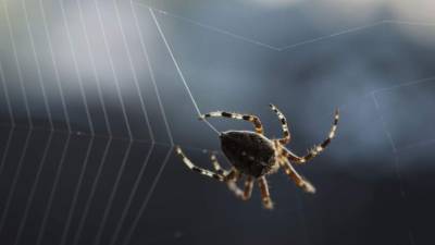 Foto de istockphoto.com