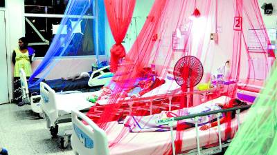 Los cuatro serotipos del dengue están circulando.