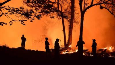 El incendio en El Hatillo, departamento de Francisco Morazán, consume ya varias héctares de bosques. AFP