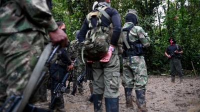 Más de 2,300 combatientes del ELN, la última guerrilla de América, se ocultan de las fuerzas de seguridad colombianas en la selva del Chocó, al noroeste del país sudamericano. Los bombardeos militares han cercenado sus fuerzas y obligado a que se muevan con más frecuencia y menos tropa.