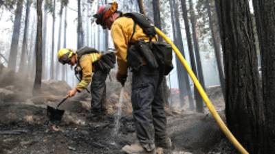 Unos dos mil bomberos luchaban contra las llamas con la ayuda de helicópteros y aviones que lanzan agua.