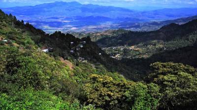 El plan del Corredor incluye el plan estratégico, estudios biológicos, valoración económica de servicios ecosistémicos y la hoja de ruta para el reconocimiento del CBS.