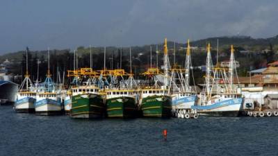Barcos pesqueros en el muelle de La Ceiba.