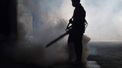En operativos contra el dengue se comprobó que la bacteria acortó la vida de esos mosquitos. Foto: AFP