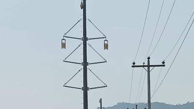 El informe de demanda y de potencia firme del CND indica que de lunes a viernes de esta semana, la demanda supera 1,600 megavatios a partir de las 8:00 am.