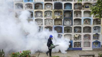 En Guatemala y El Salvador, las autoridades también toman medidas contra la epidemia. Fotos: AFP y EFE