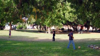 Menores se divierten jugando en una área verde de la ciudad.
