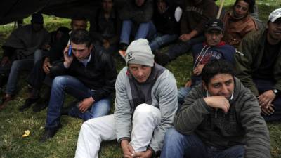 Los trabajadores agrarios dicen que sus problemas son por el TLC.