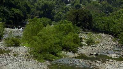 El intenso verano está secando ríos y quebradas del litoral atlántico.