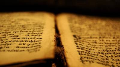 El ejemplar será resguardado por las autoridades hasta que se defina si puede ser subastado.