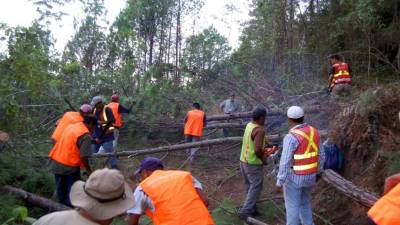 Las cuadrillas trabajan en la montaña contra un solo brote, pero urge que el combate sea simultáneo.