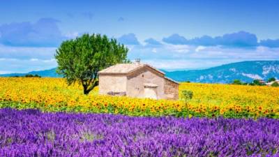 Conozca algunos de los destinos más populares para visitar en esta temporada.