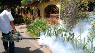 Masivo operativo contra el dengue en la colonia Aurora