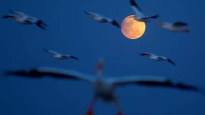 El primero de los cuatro eclipses de 2017 se dio ayer viernes con el nombre de eclipse penumbral de Luna y pudo observarse, por supuesto, también en Honduras.