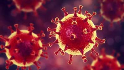 Foto referencial de una imagen del coronavirus. Agencia.