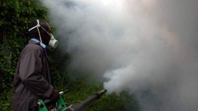 Salud desarrollará un plan para comenzar a fumigar comunidades. Foto: Esaú Ocampo.