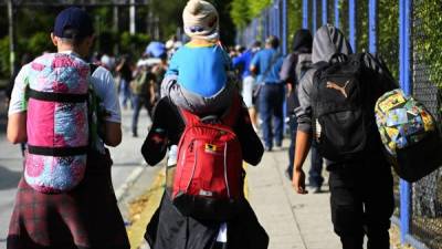 Los migrantes han estado organizando la modalidad de caravana para llegar de manera ilegal a Esatdos Unidos.