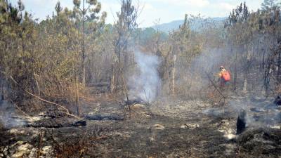 El incendio en el Parque Nacional La Tigra ha consumido más de 1,000 hectáreas de bosque, según estiman autoridades.