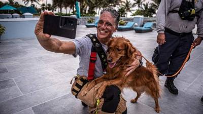 Estos perros de consuelo ayudan a los familiares a combatir la frustración. Foto: EFE