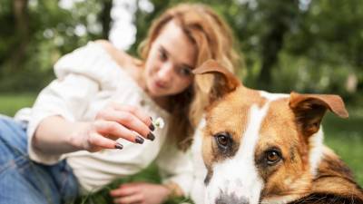 Los perros suelen olfatear a las personas nuevas con el fin de conocerlas mejor.