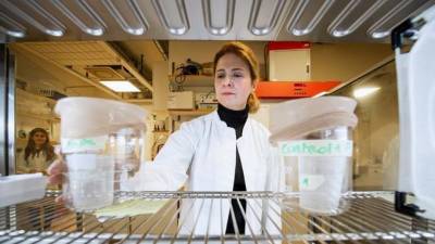 La investigadora Noushin Emami en su laboratorio en la Universidad de Estocolmo, Suecia, el 15 de diciembre de 2021.